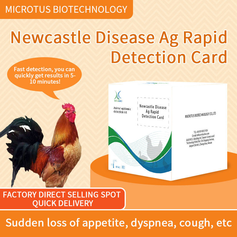 Tarjeta de prueba rápida de anticuerpos contra el virus de la enfermedad de Newcastle proveedor